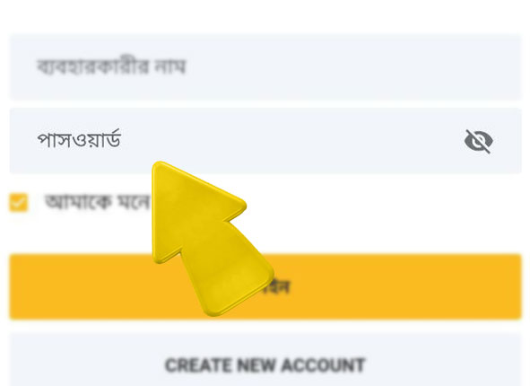 betvisa bd com betvisa কিভাবে betvisa এ লগইন করবেন ধাপ 4